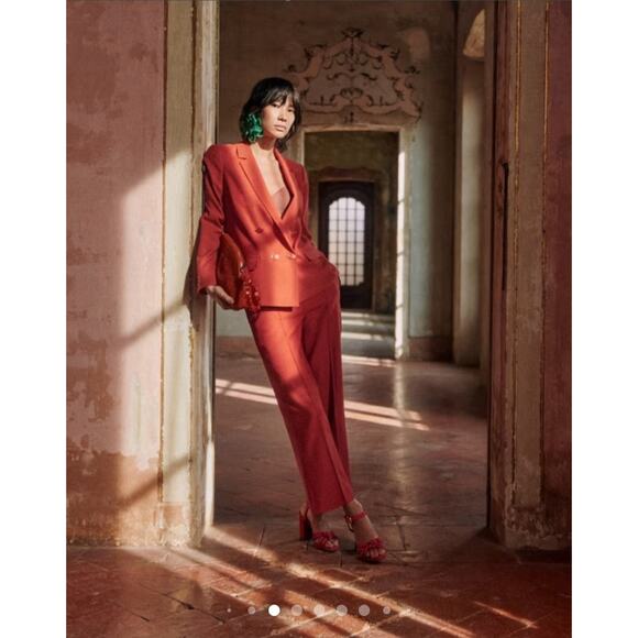 Nwt Sezane Coramtin Trousers Sienna Cropped Pants Size 40 /Us 8 - Picture 1 of 9